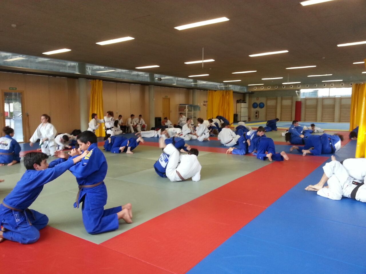 Entrenamientos Programa Tecnificacion Selecciones Junior y Senior 2015-2016